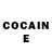 COCAIN Fish Scale Rosi Morris