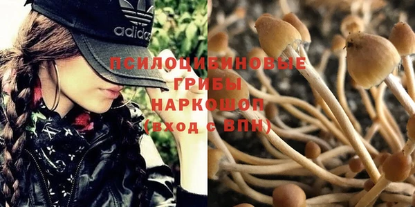 твердый Переславль-Залесский