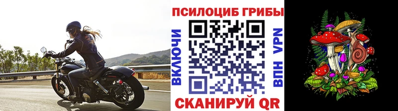 darknet формула  магазин продажи   Бугуруслан  Псилоцибиновые грибы Cubensis 