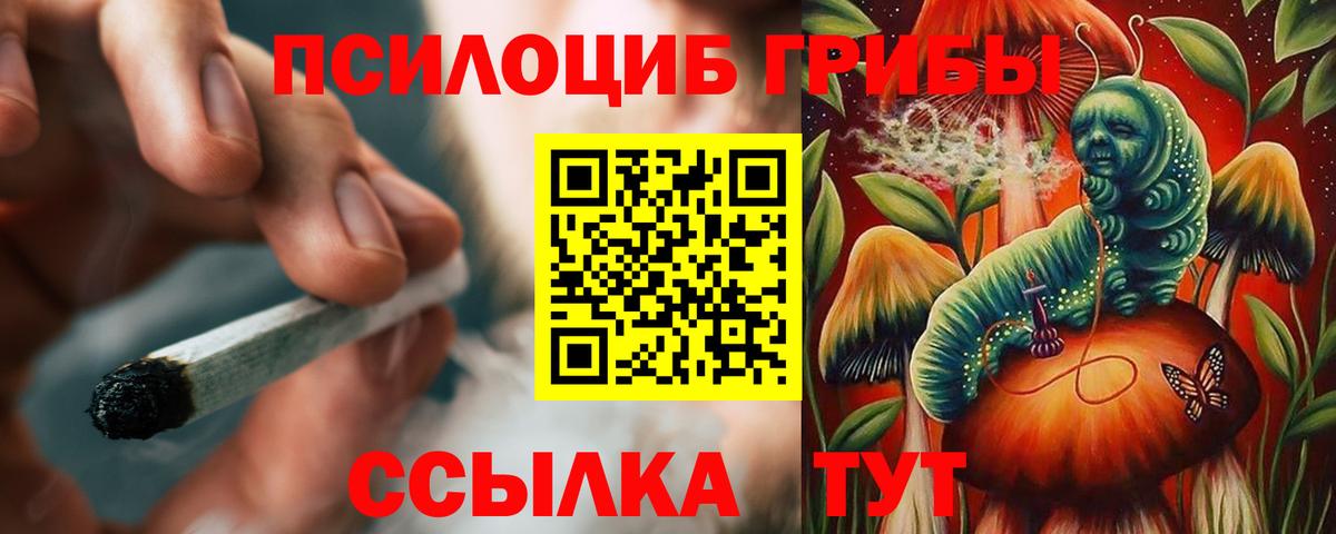 Псилоцибиновые грибы ЛСД Бугуруслан